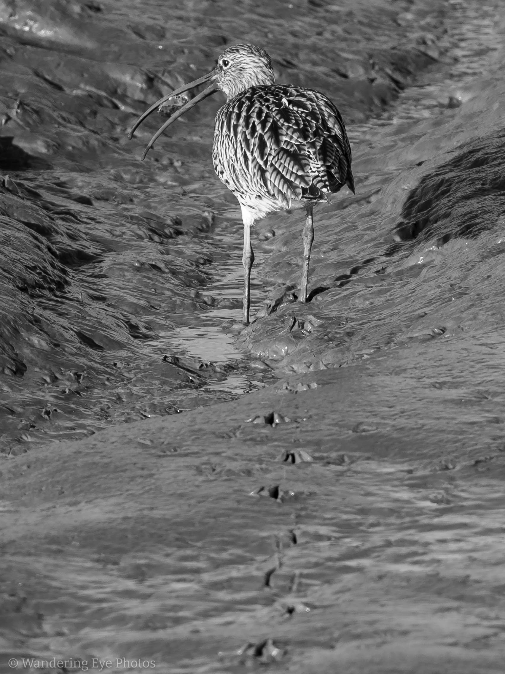 11.17 14.48.45   DSC00554